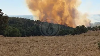 Incendie à Arcambal - Lot - 7 juillet 2026 - Feux de forêts et d'espaces naturels