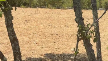 Incendie à Arcambal - Lot - 7 juillet 2026 - Feux de forêts et d'espaces naturels