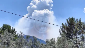Incendie à Vero - Corse-du-Sud - 7 juillet 2026 - Feux de forêts et d'espaces naturels