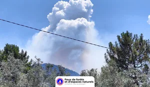 Incendie à Vero (2A) : le feu est éteint