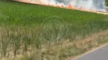 Incendie à Paulhaguet - Haute-Loire - 7 juillet 2026 - Feux de forêts et d'espaces naturels