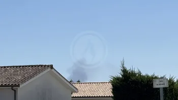 Incendie à Saint-Caprais-de-Bordeaux - Gironde - 7 juillet 2026 - Feux de forêts et d'espaces naturels
