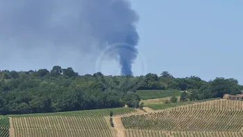 Incendie à Saint-Caprais-de-Bordeaux - Gironde - 7 juillet 2026 - Feux de forêts et d'espaces naturels