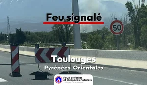 Incendie à Toulouges (66) : le feu est éteint