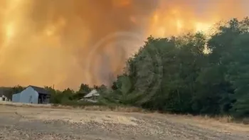 Incendie à Châtillon-sur-Cher - Loir-et-Cher - 7 juillet 2026 - Feux de forêts et d'espaces naturels