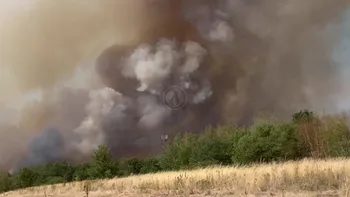 Incendie à Châtillon-sur-Cher - Loir-et-Cher - 7 juillet 2026 - Feux de forêts et d'espaces naturels