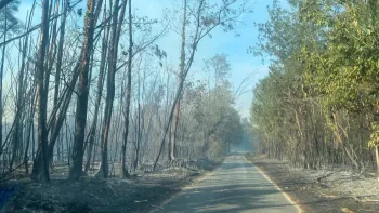 Incendie à Châtillon-sur-Cher - Loir-et-Cher - 7 juillet 2026 - Feux de forêts et d'espaces naturels