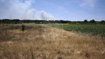 Incendie à Châtillon-sur-Cher - Loir-et-Cher - 7 juillet 2026 - Feux de forêts et d'espaces naturels