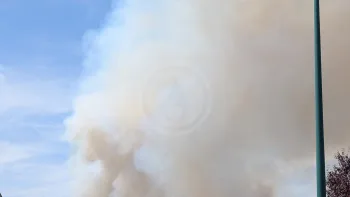Incendie à Châtillon-sur-Cher - Loir-et-Cher - 7 juillet 2026 - Feux de forêts et d'espaces naturels