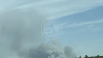 Incendie à Châtillon-sur-Cher - Loir-et-Cher - 7 juillet 2026 - Feux de forêts et d'espaces naturels