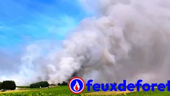 Incendie à Châtillon-sur-Cher - Loir-et-Cher - 7 juillet 2026 - Feux de forêts et d'espaces naturels