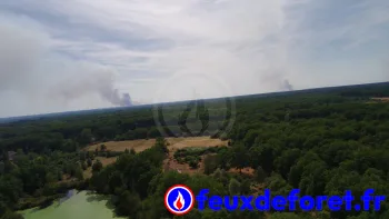 Incendie à Châtillon-sur-Cher - Loir-et-Cher - 7 juillet 2026 - Feux de forêts et d'espaces naturels