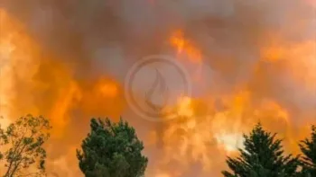Incendie à Châtillon-sur-Cher - Loir-et-Cher - 7 juillet 2026 - Feux de forêts et d'espaces naturels