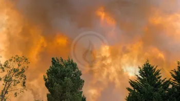 Incendie à Châtillon-sur-Cher - Loir-et-Cher - 7 juillet 2026 - Feux de forêts et d'espaces naturels
