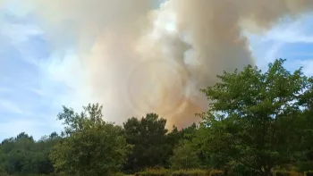 Incendie à Châtillon-sur-Cher - Loir-et-Cher - 7 juillet 2026 - Feux de forêts et d'espaces naturels