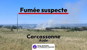 Carcassonne (11)