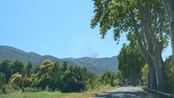 Incendie à Céret - Pyrénées-Orientales - 7 juillet 2026 - Feux de forêts et d'espaces naturels