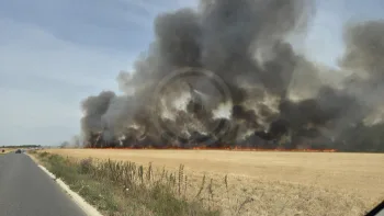 Incendie à Blandy - Seine-et-Marne - 7 juillet 2026 - Feux de forêts et d'espaces naturels