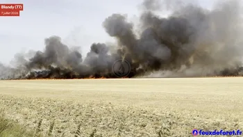 Incendie à Blandy - Seine-et-Marne - 7 juillet 2026 - Feux de forêts et d'espaces naturels