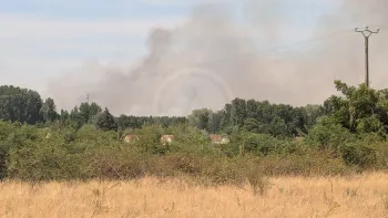 Incendie à Le Controis-en-Sologne - Loir-et-Cher - 7 juillet 2026 - Feux de forêts et d'espaces naturels