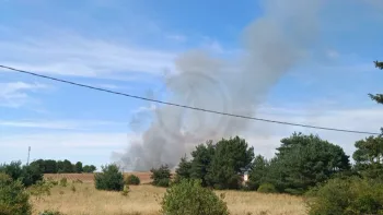 Incendie à Le Controis-en-Sologne - Loir-et-Cher - 7 juillet 2026 - Feux de forêts et d'espaces naturels