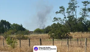 Incendie à Avensan (33) : les pompiers interviennent