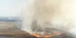 Pologne : le plus grand parc national ravagé par un incendie