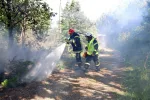 Morbihan : le risque de feu de forêt est devenu important