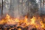 Gironde : le cap des 13'000 hectares détruits franchi ce dimanche soir, le point à 22h