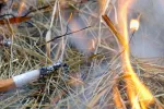 Risque d'incendies élevé : une ville interdit la cigarette et verbalise les contrevenants