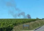 Ludon-Médoc/Soussans (33)