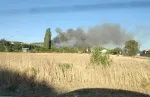 Sallèles-d'Aude/Ouveillan (11)