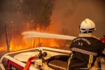 Feux en Gironde : 20'300 hectares détruits, "des résultats notables sont à souligner" ce soir