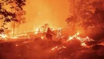IMAGES. Californie : le mégafeu progresse, l'énorme panache de fumée inquiète
