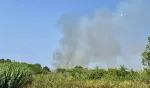Pia (66)
