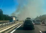 Mondragon / Bollène (84), en bordure de l'A7 - Les pompiers sont sur place