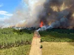 Gironde/Landes : 6000 hectares ravagés par les flammes, 8000 personnes évacuées... Le dernier bilan à 16h