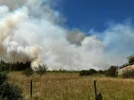 Saint-André-de-Cubzac (33) - feu virulent