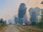 La météo des forêts de ce mardi 13 juin et demain mercredi