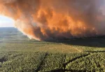 Incendies en Gironde : plus de 6000 hectares ravagés, 16 maisons détruites... un feu "hors norme"