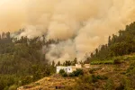 L'île de La Palma en Espagne frappée par un violent feu de forêt