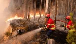 Feu de forêt au Portugal : 7 000 hectares ravagés, 20 000 menacés... les images et les infos