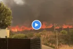 Feu à Portbou : 573 hectares détruits, des pompiers blessés... ce que l'on sait à 15h