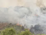 Record d'incendies en Amazonie brésilienne en février