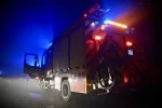 Risque accru d'incendies de forêt à Taïwan : urgence de s'adapter au changement climatique