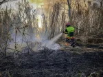 Les feux de forêt s'intensifient dans toute l'Amérique du Sud