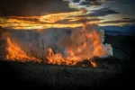 Malaisie : Incendies de forêt massifs à Labuan