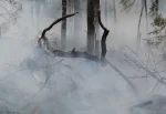 Alpes-Maritimes : un feu s'est propagé dans la forêt de Cantaron