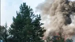 Feu dans le Gard : un chien emporté par les flammes