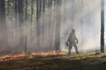 Espagne : incendie de forêt 800 ha brulés à Alicante